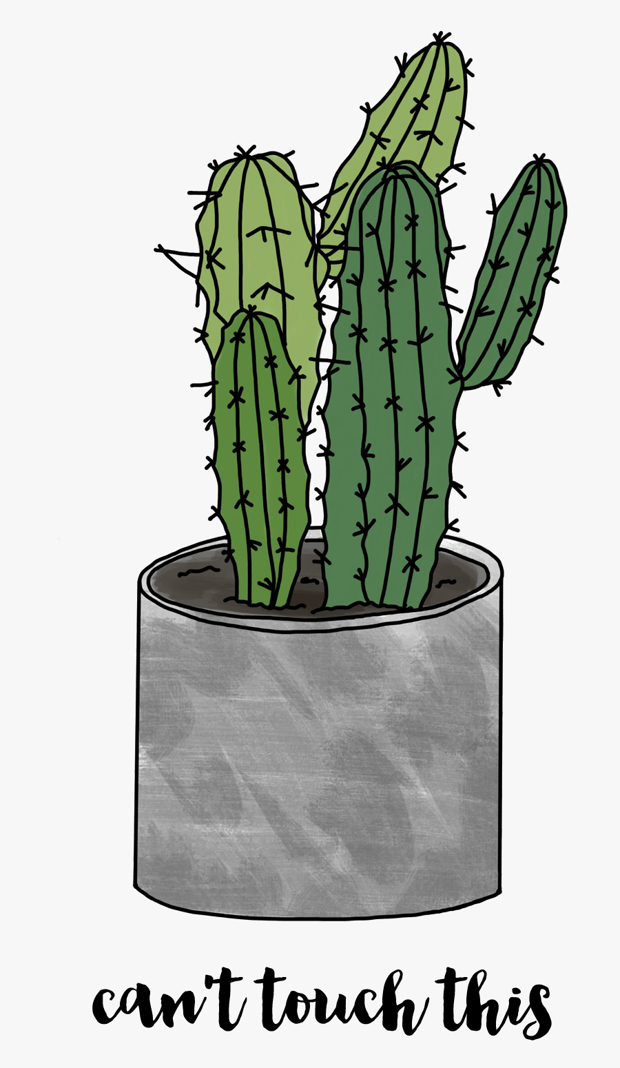 Cactus Backgrounds, Transparent Clipart