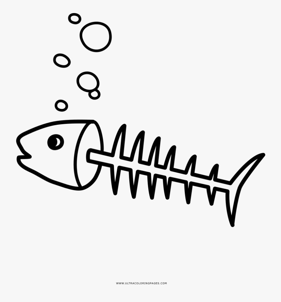 Fish Bone Drawing Coloring Book Thorns, Spines, And - Espina De Pescado Dibujo, Transparent Clipart