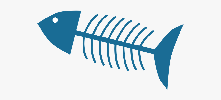 Fish Bones Png Download - Esqueleto Peixe Png, Transparent Clipart