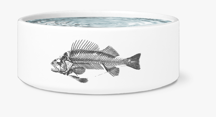Fish Bone Bowl - Fish Skeleton Art, Transparent Clipart