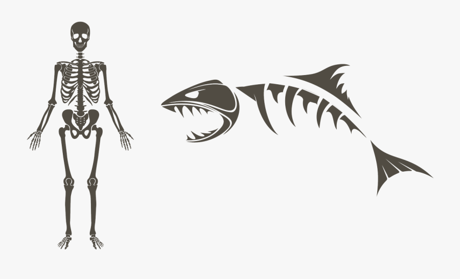 Transparent Bite Marks Png - Fish Bones Logo, Transparent Clipart