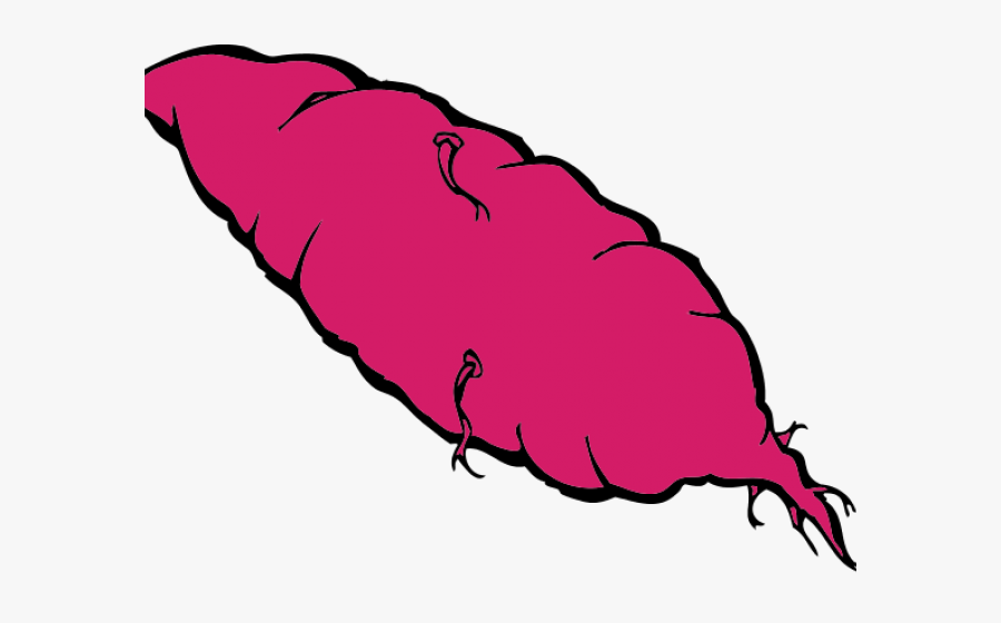 Yam Cliparts - Sweet Potato Clip Art , Free Transparent Clipart