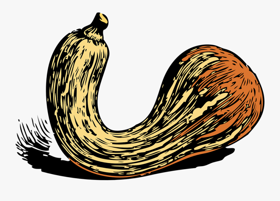 Transparent Yam Clipart - Sqaush, Transparent Clipart