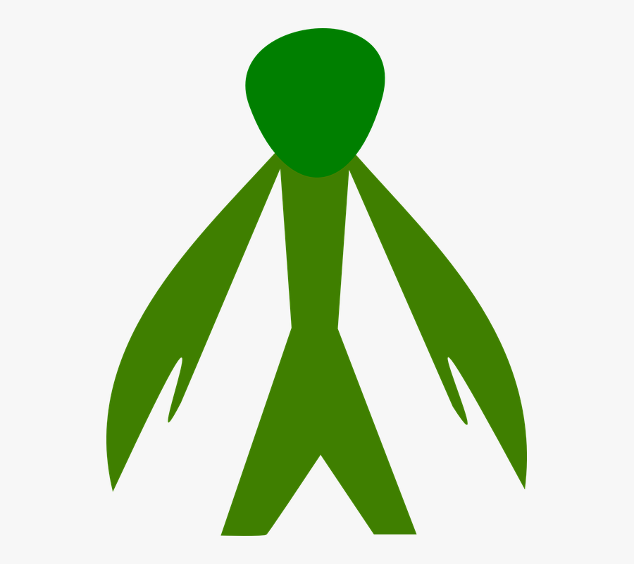 Green,leaf,clip Art,graphics,plant, Transparent Clipart