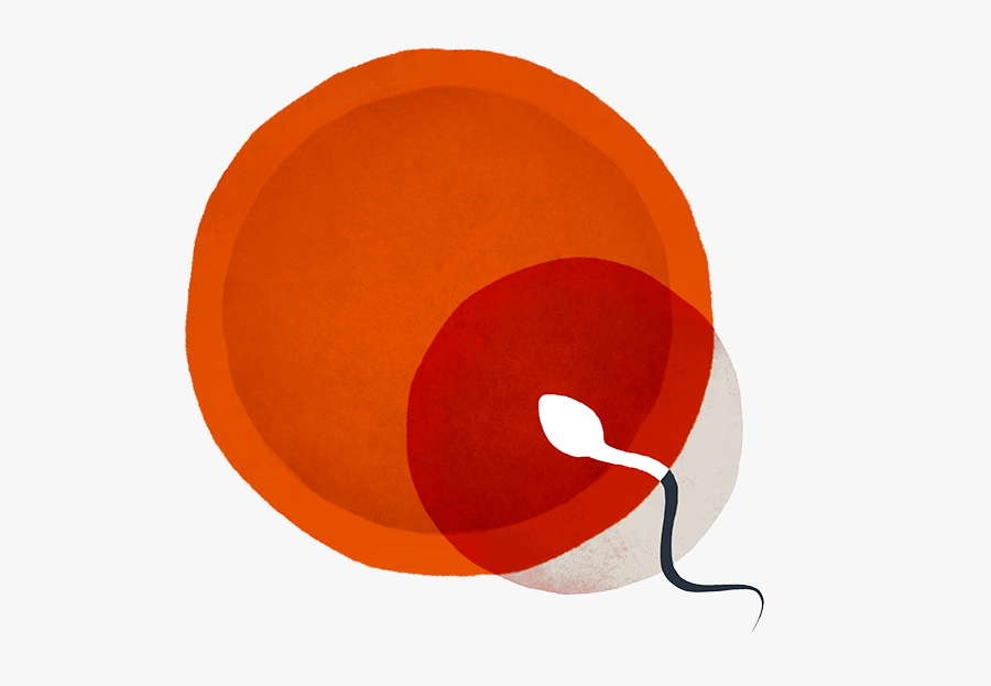 Episona Adds D2c Model For Consumer Male Epigenetic - Illustration, Transparent Clipart