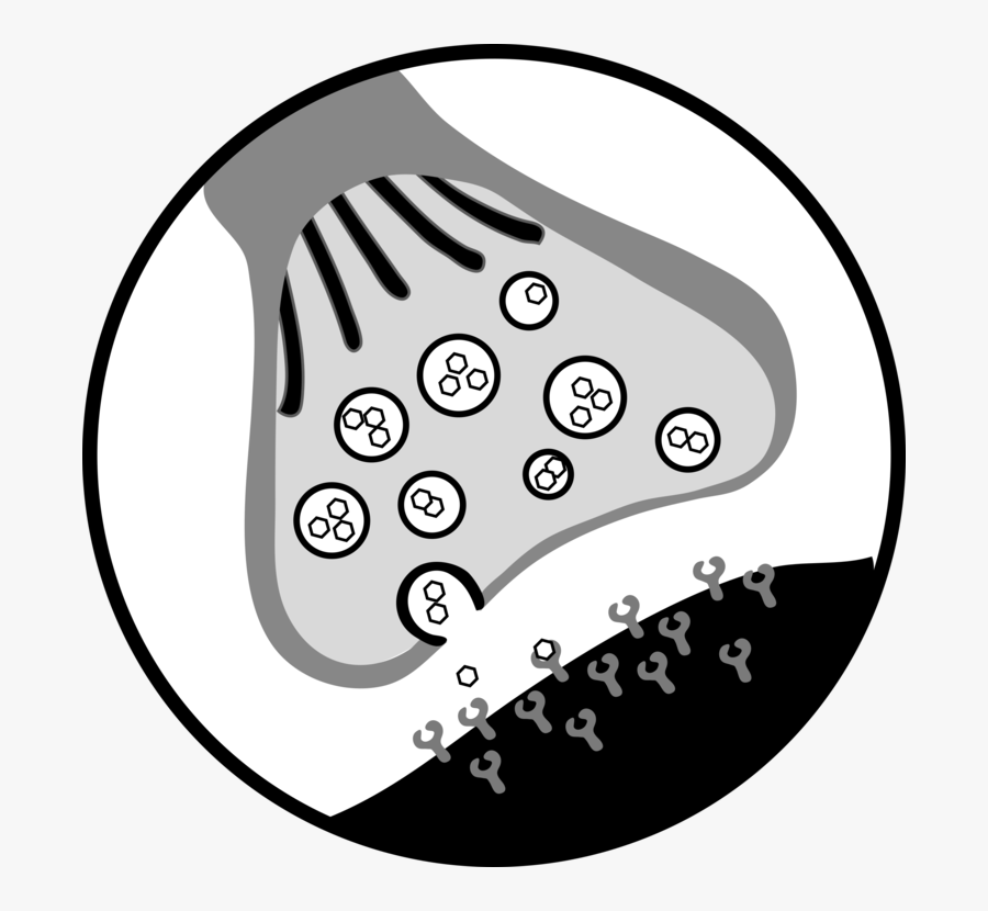 Line Art,area,monochrome Photography - Chemical Synapse, Transparent Clipart