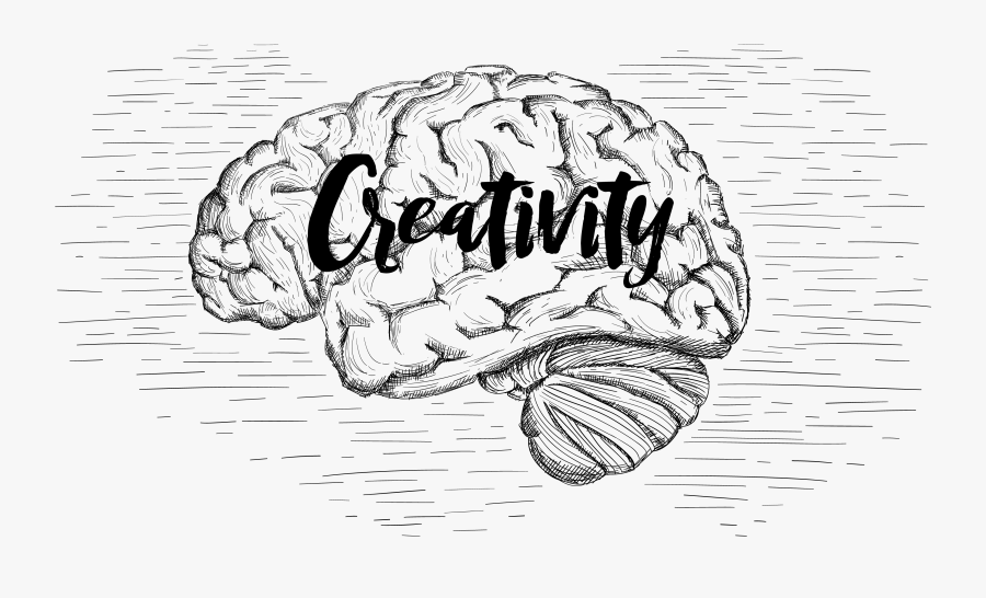 Jpg Black And White Download Drawing From Imagination - Brain Sketch Png Transparent, Transparent Clipart