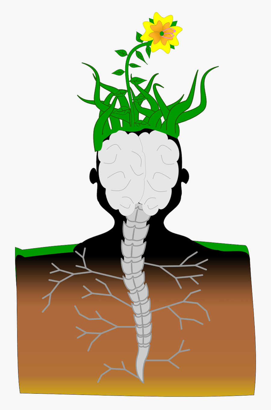 Plant,flora,leaf - Intelligence In Plants Root, Transparent Clipart