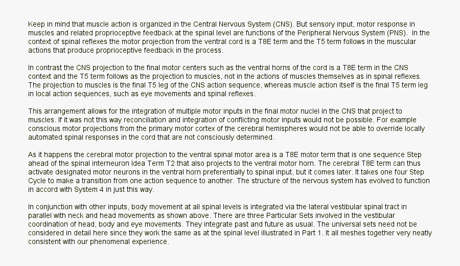 Как Снизить Пульс, Transparent Clipart