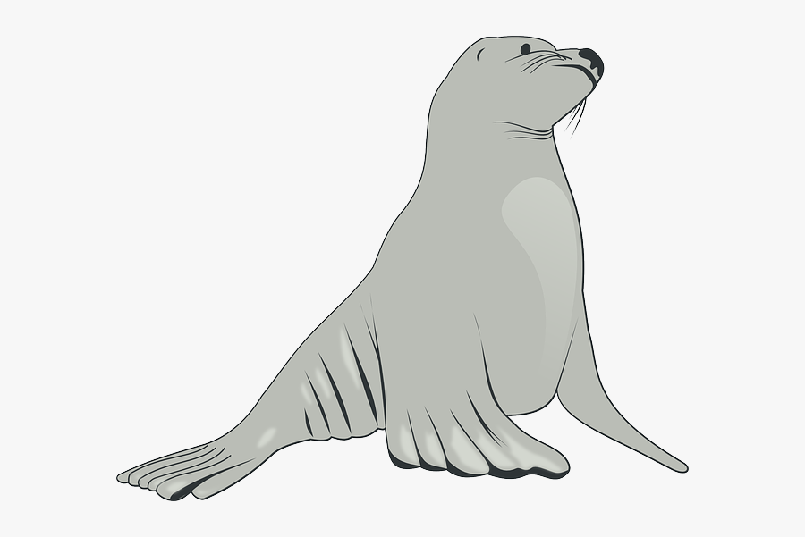 Cartoon, Arctic, Ice, Snow, Cute, Lion - Sea Lion Clipart, Transparent Clipart