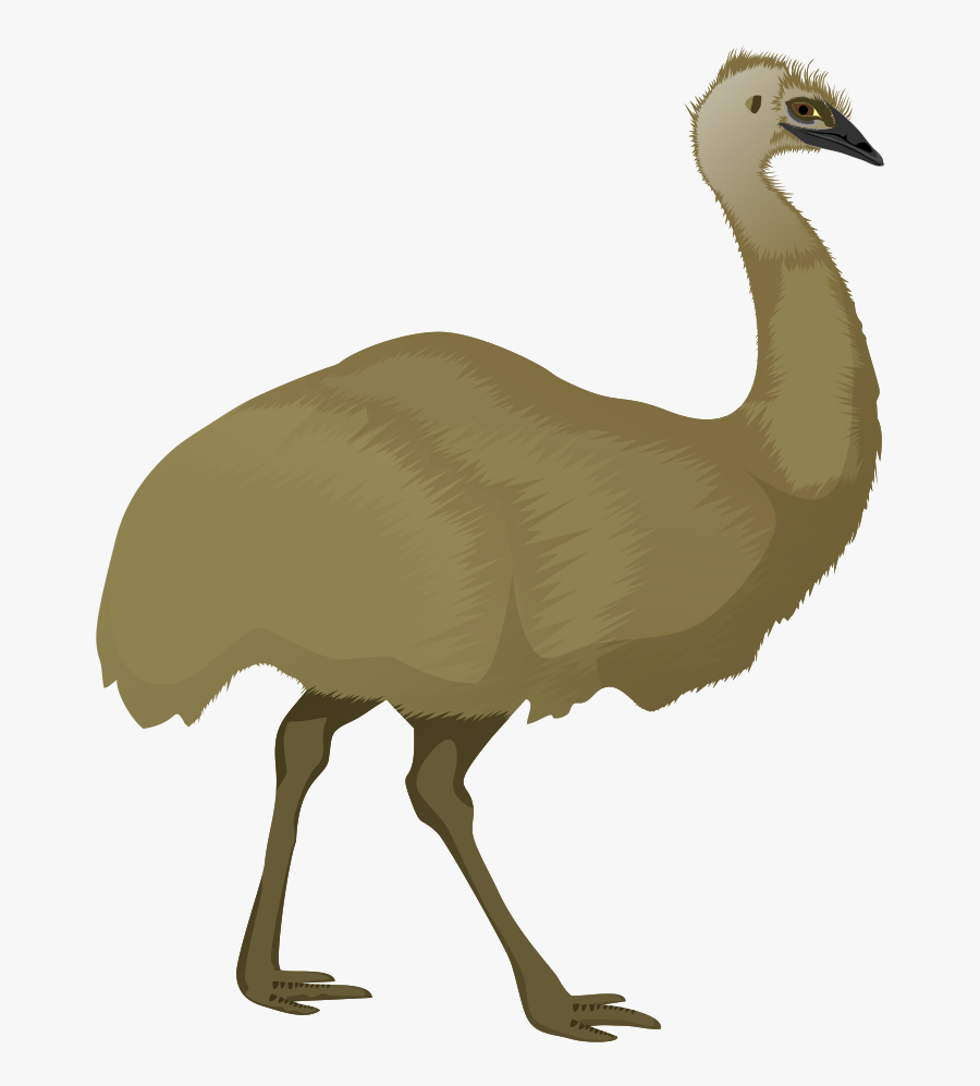 Free To Use Public Domain Animals Clip Art - Emu Transparent Background, Transparent Clipart