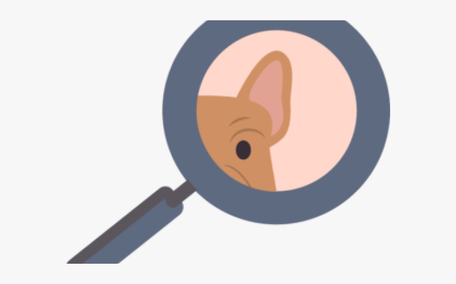 Boston Terrier Clipart Head - Cartoon, Transparent Clipart