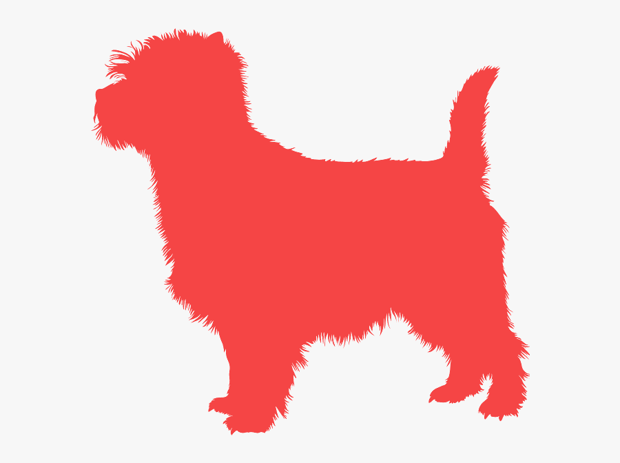 Australian Terrier, Transparent Clipart