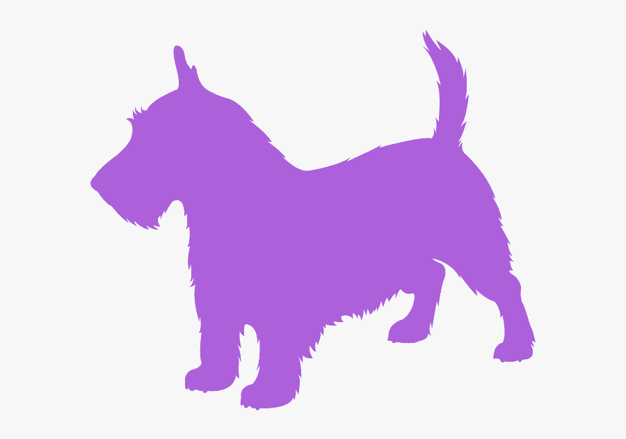 Short Hair Scottish Terrier Haircut, Transparent Clipart