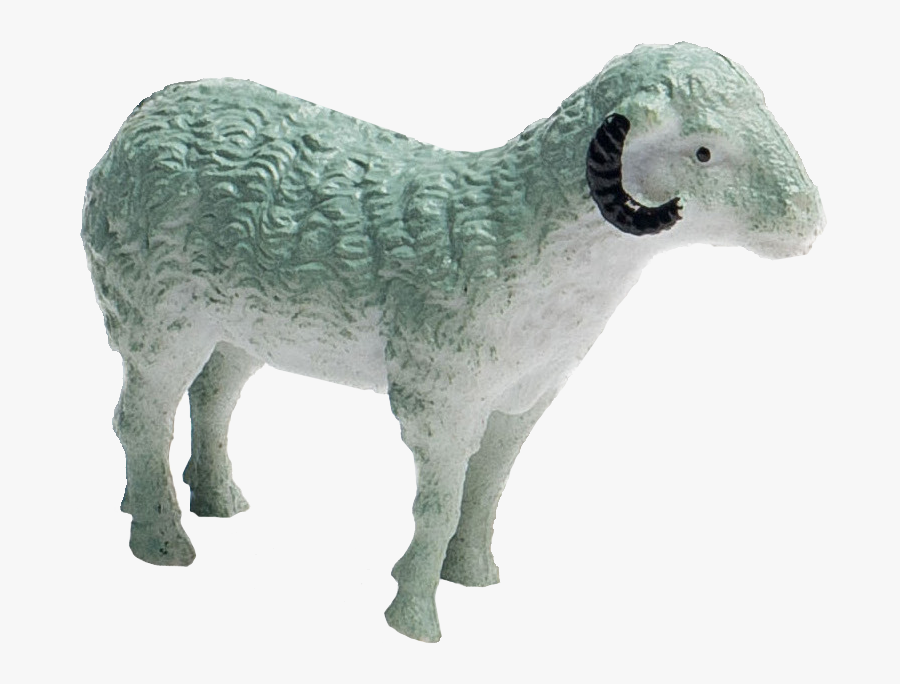 Image - Sheep, Transparent Clipart