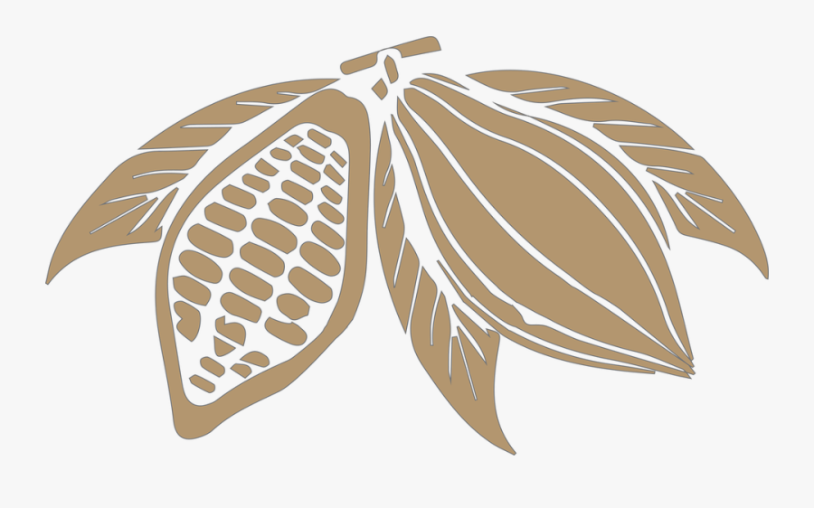 Cocoa Beans Png Transparent Image - Cocoa Beans Png, Transparent Clipart