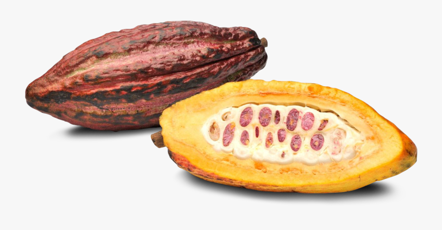 Cacao Fruit No Background, Transparent Clipart