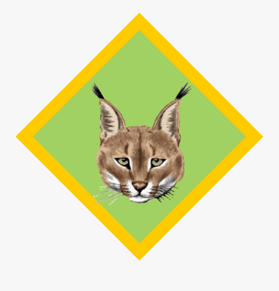 South African Scout Clipart - Caracal, Transparent Clipart