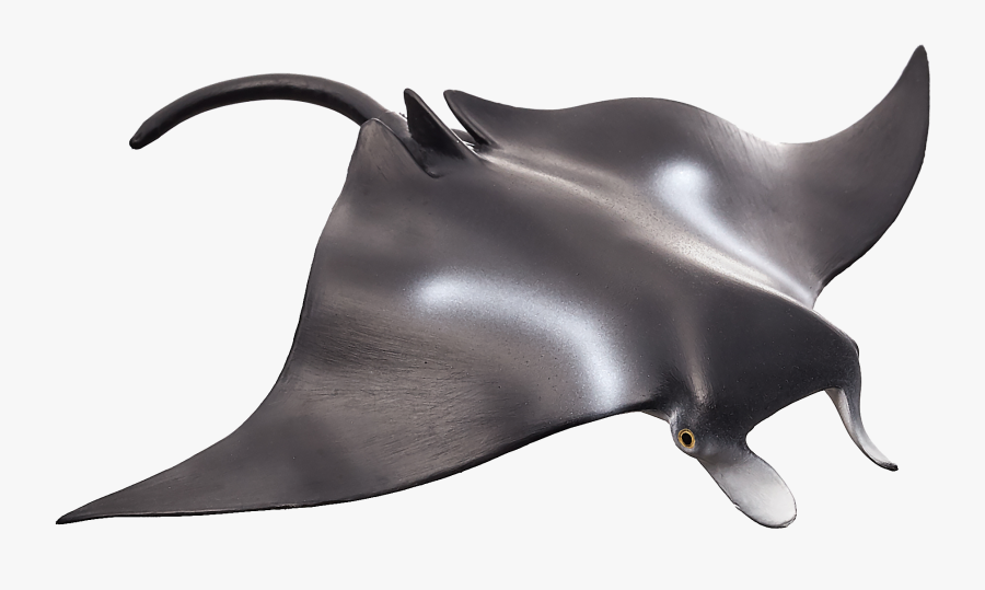 Manta Ray Png, Transparent Clipart