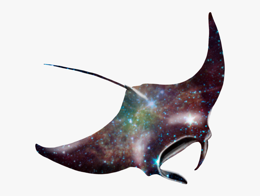 Galaxy Manta Ray By Kristalst - Manta Ray Transparent Background, Transparent Clipart