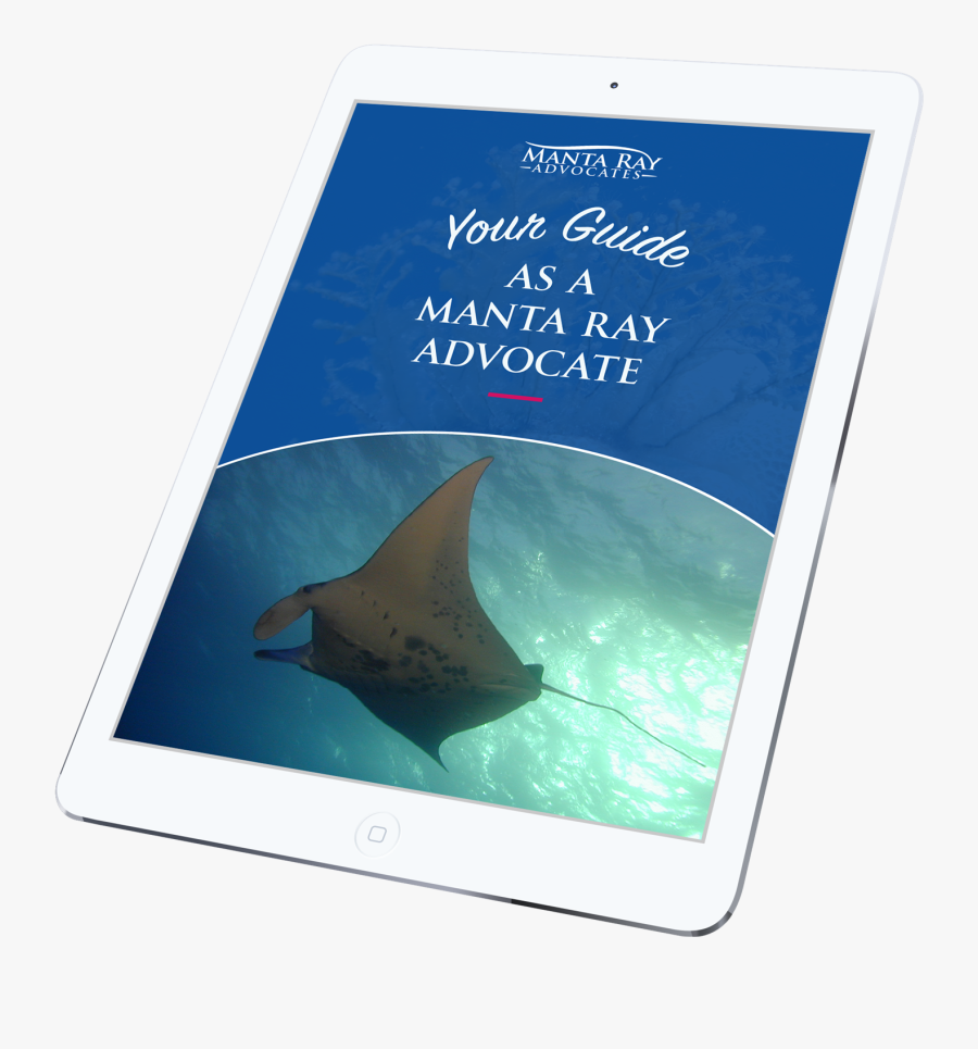 Manta-ray - Freshwater Whipray, Transparent Clipart