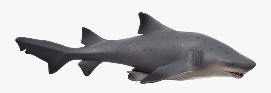 Transparent Bull Shark Png - Manta Ray, Transparent Clipart