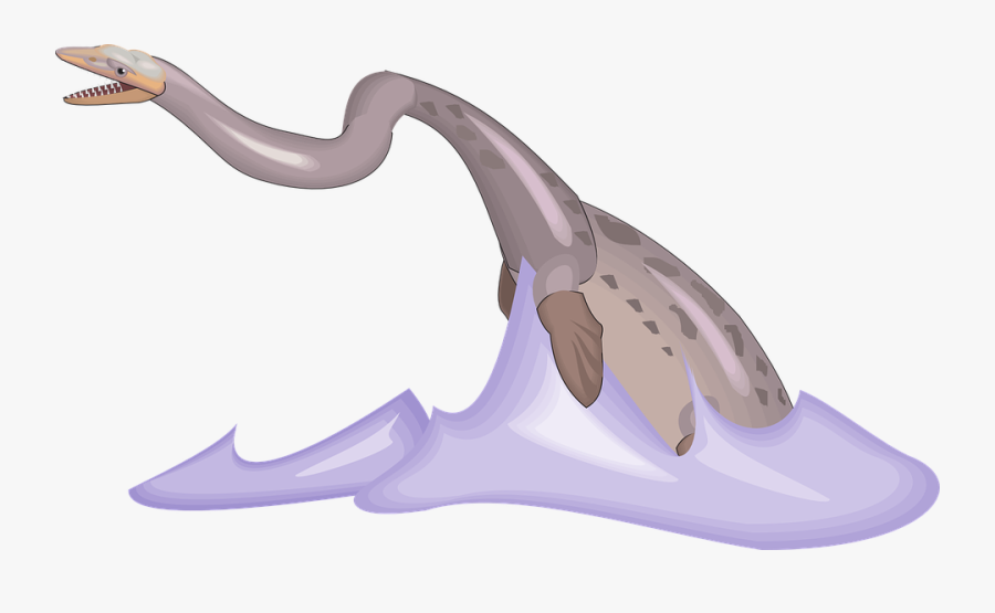 Water, Fish, Swimming, Tail, Ancient, Aquatic - Fish, Transparent Clipart