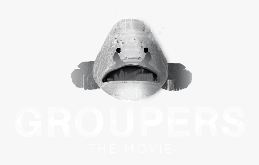 Electric Ray - Shark, Transparent Clipart