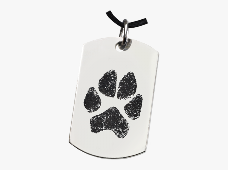 Dog Tags With Paw Print, Transparent Clipart