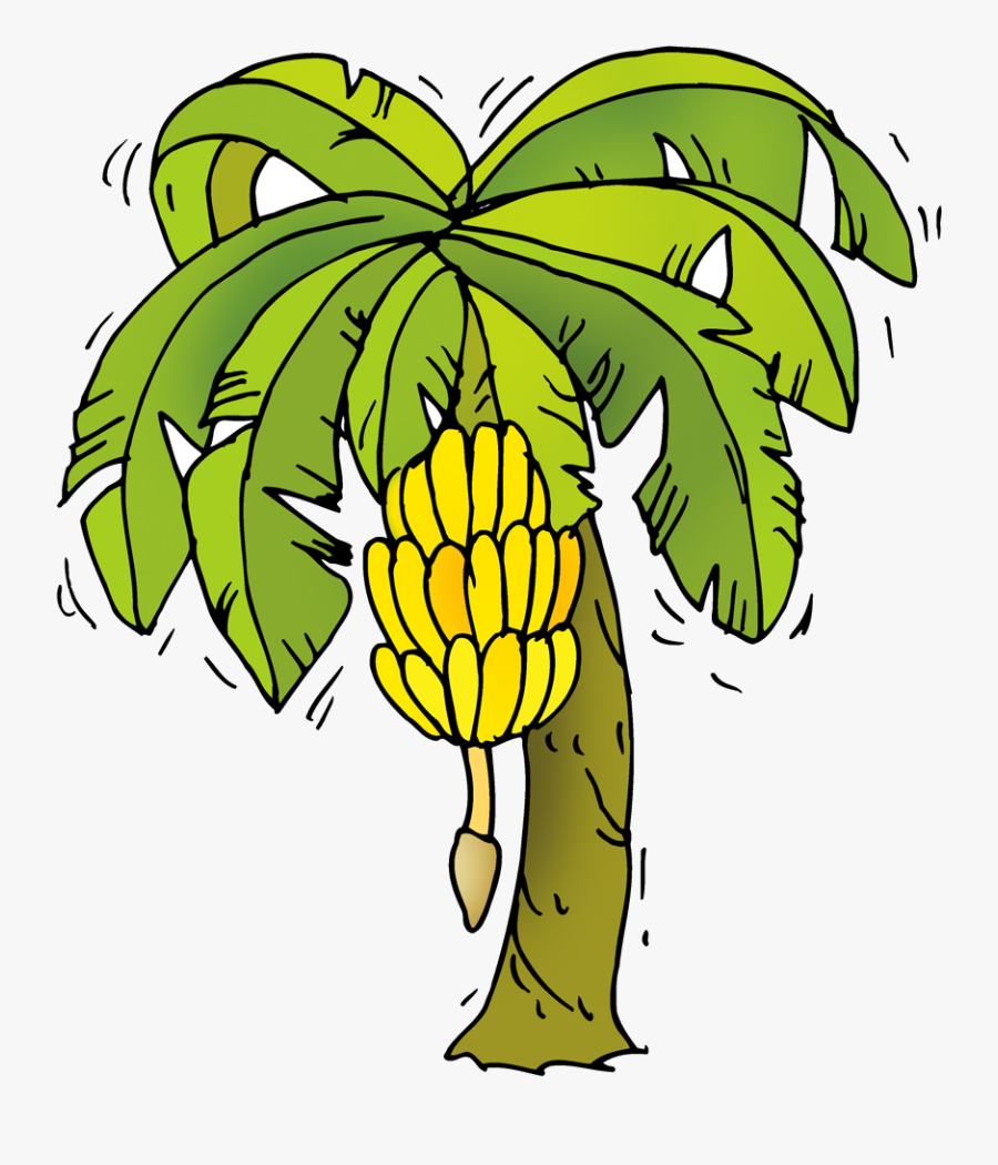 Banana Tree Cartoon Png , Png Download - Clip Art Banana Tree, Transparent Clipart