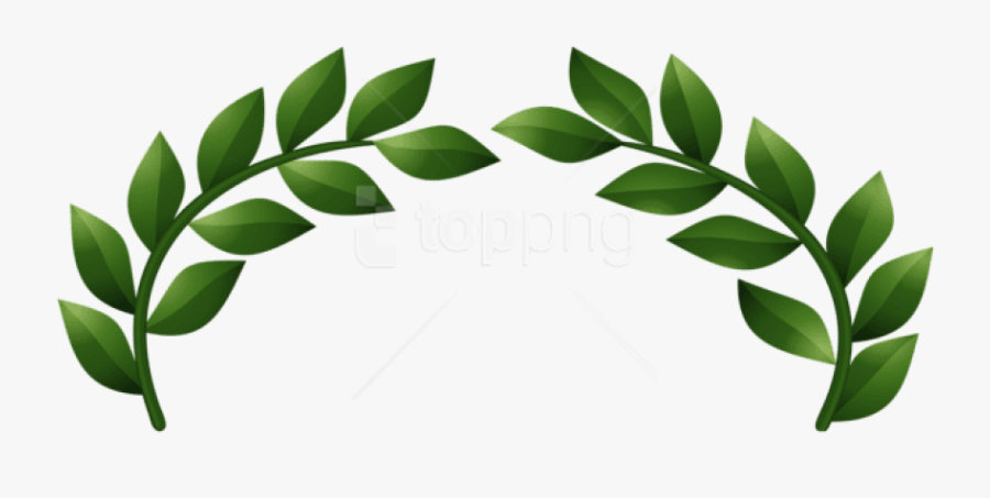 Leaf,plant Stem - Transparent Background Laurel Wreath Transparent, Transparent Clipart