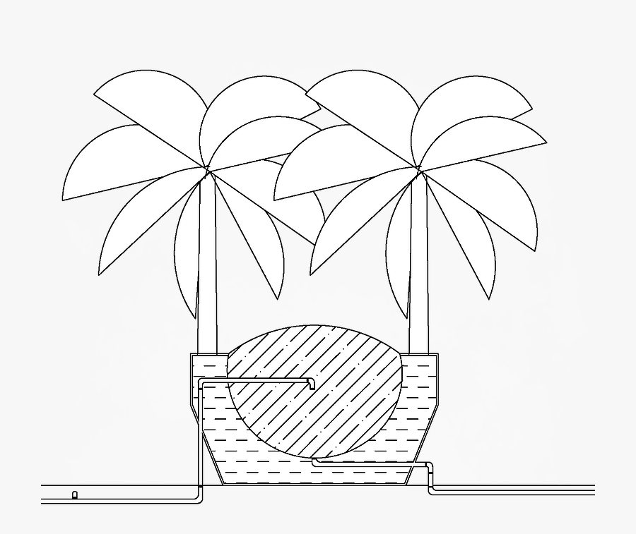 Section Banana Tree - Illustration, Transparent Clipart