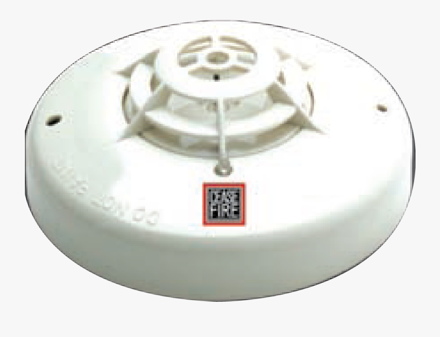 Circle, Transparent Clipart