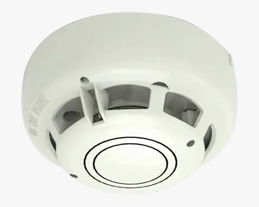 Circle, Transparent Clipart