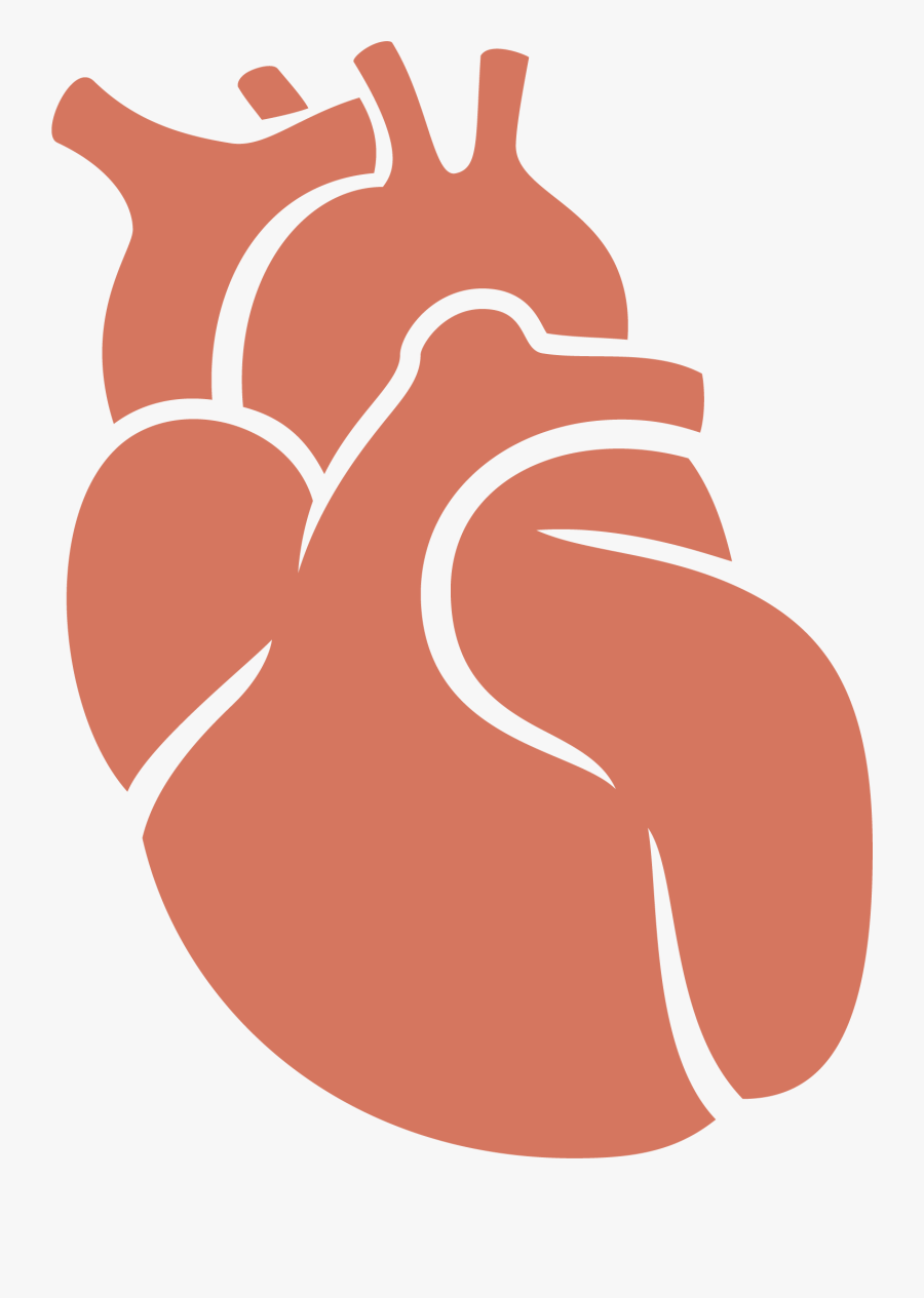 Clip Art Heart Transplant Svg Free - Donacion De Organos Png, Transparent Clipart