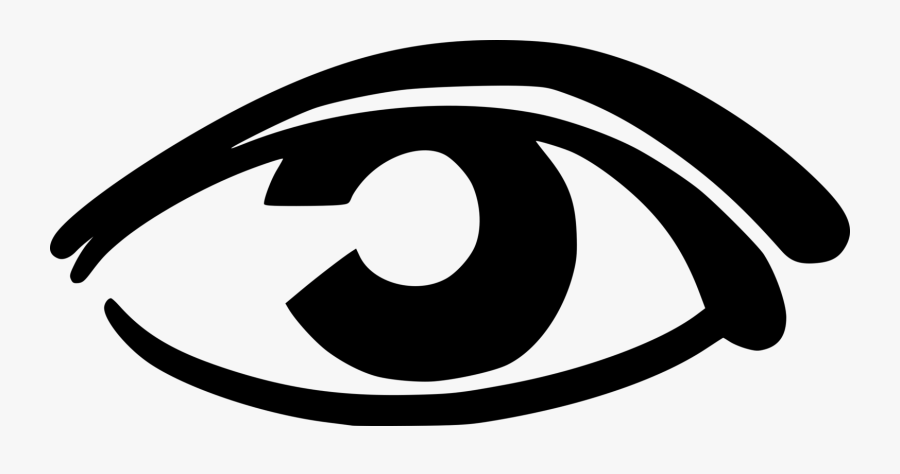 Eyelash Simple Eye In Invertebrates Eyebrow Organ, Transparent Clipart