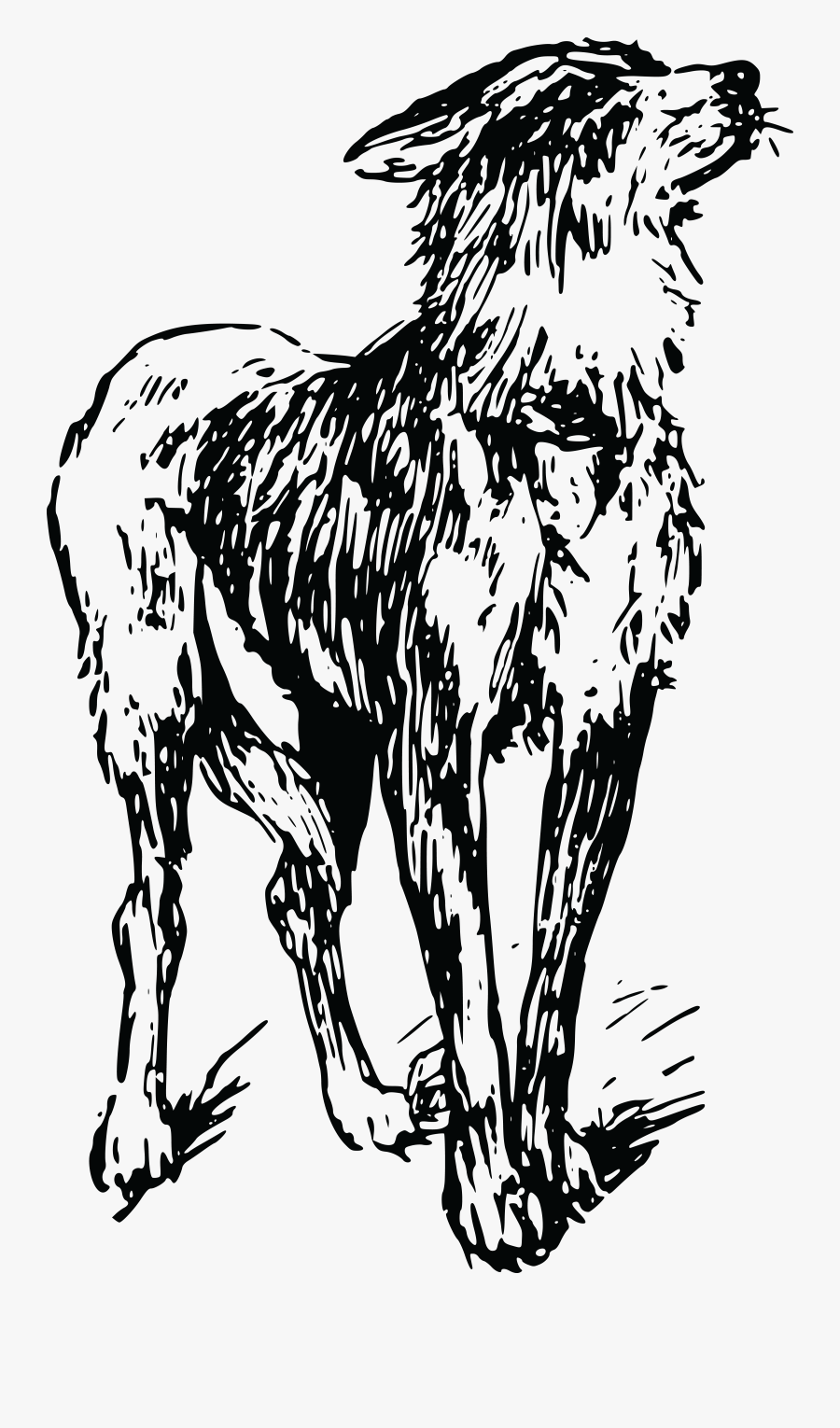 Transparent White Dog Png - Dog, Transparent Clipart