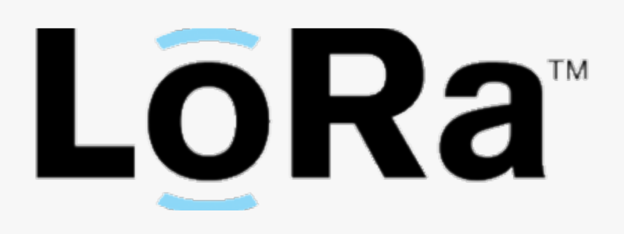 Circle, Transparent Clipart