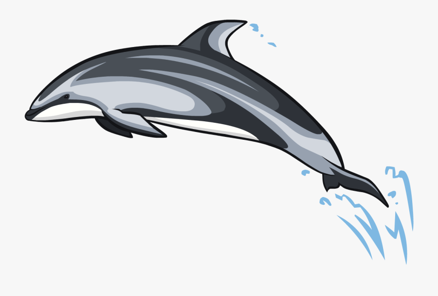 Clipart Resolution 1500*1011 - Wholphin, Transparent Clipart