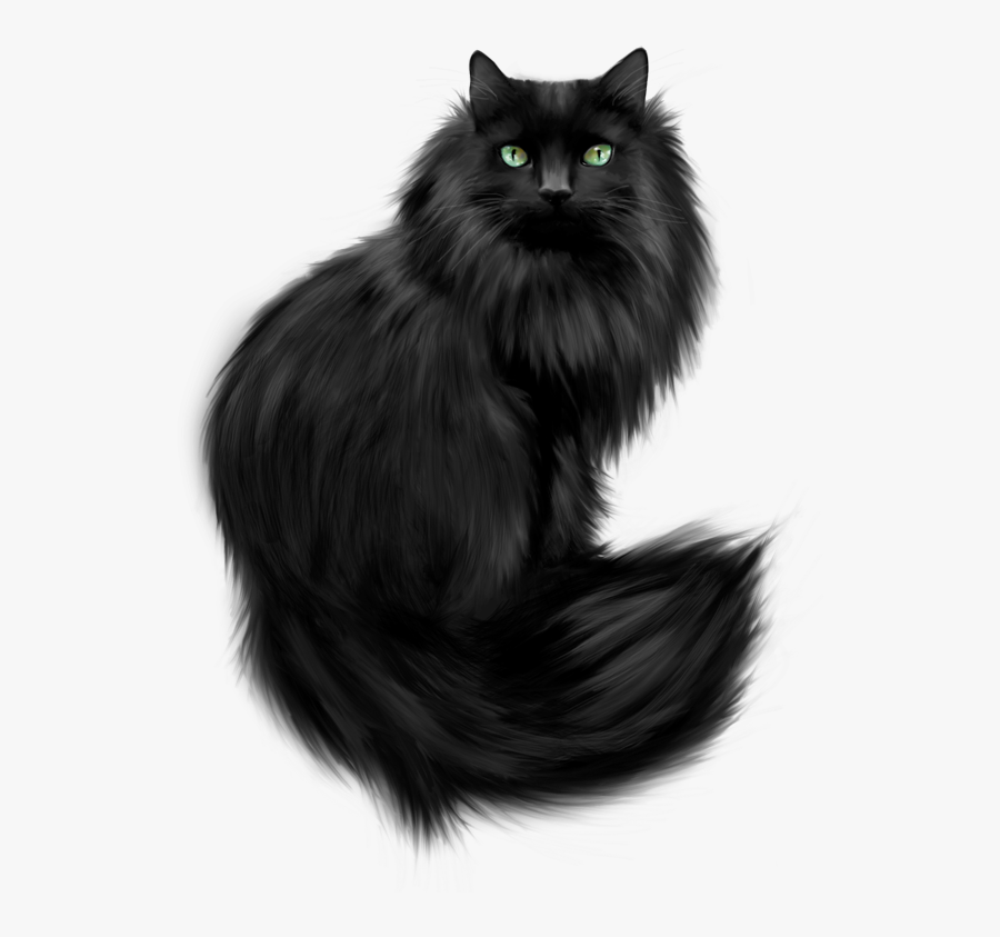 Clip Art Black And White Norwegian Forest Cat - Png Black Cat, Transparent Clipart