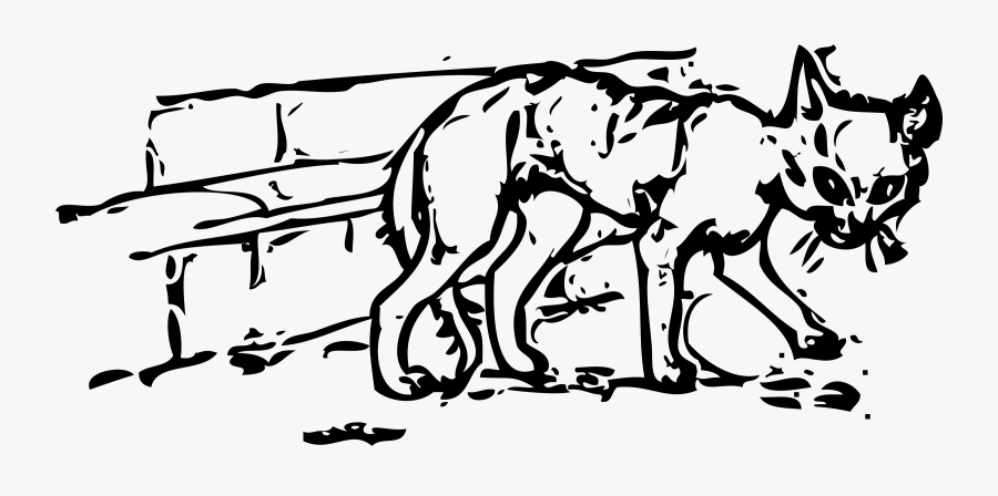 Ugly Cat Clip Arts - Dirty Cat Clipart Black And White, Transparent Clipart