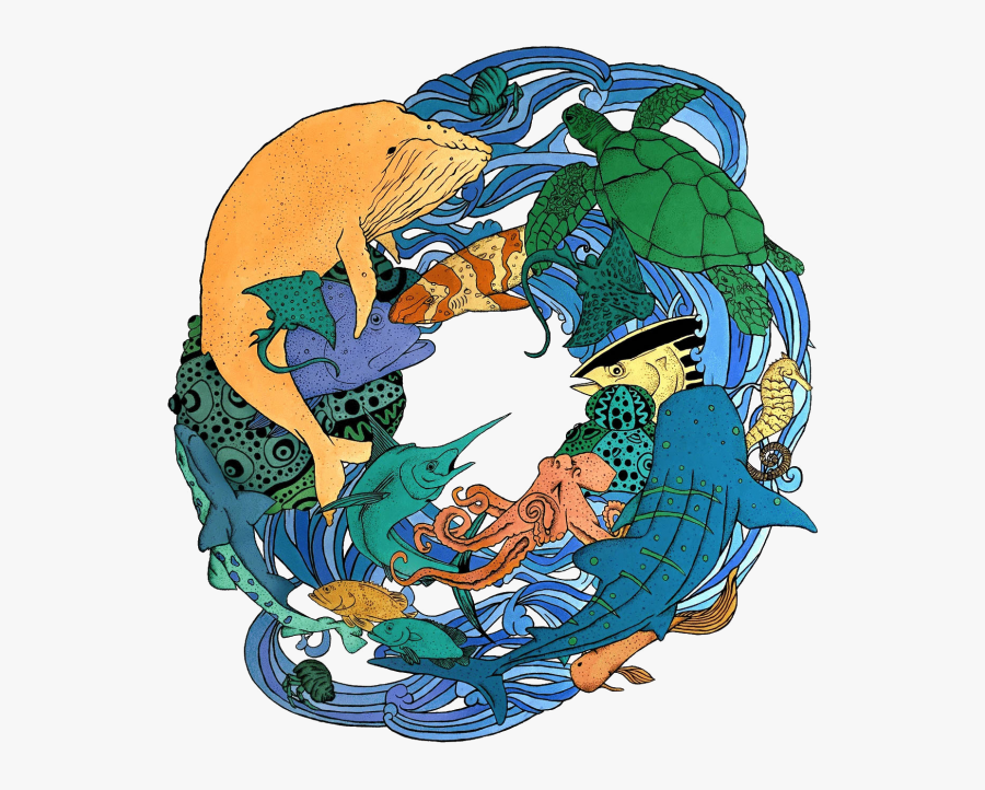 Water Sports & Excursions - Illustration, Transparent Clipart