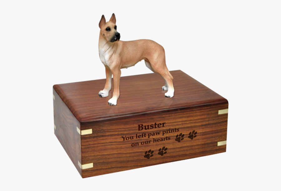 Australian Shepherd Urn, Transparent Clipart