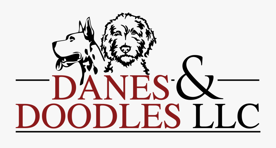 Cesky Terrier, Transparent Clipart