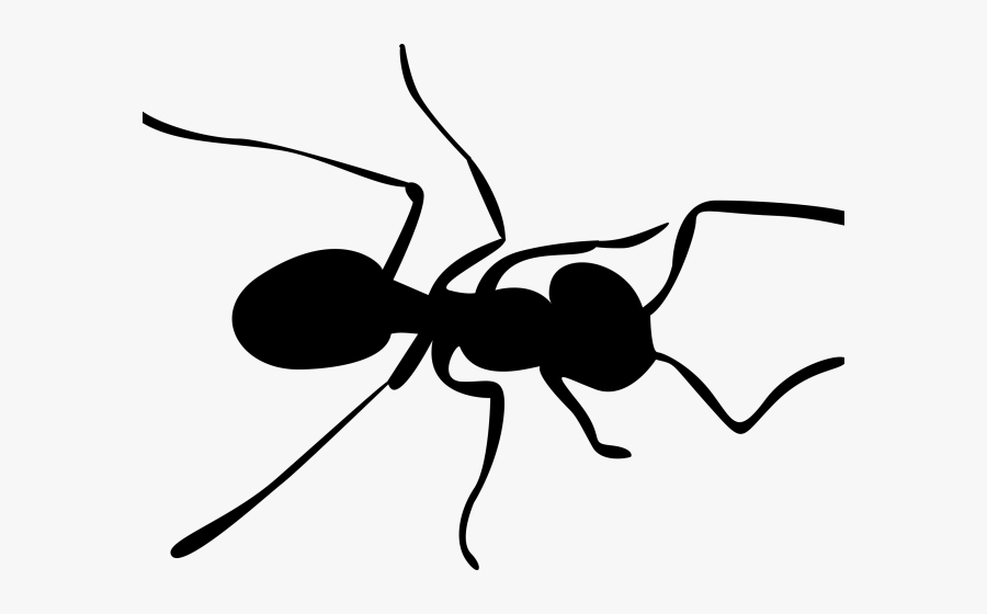Carpenter Ant Clipart, Transparent Clipart