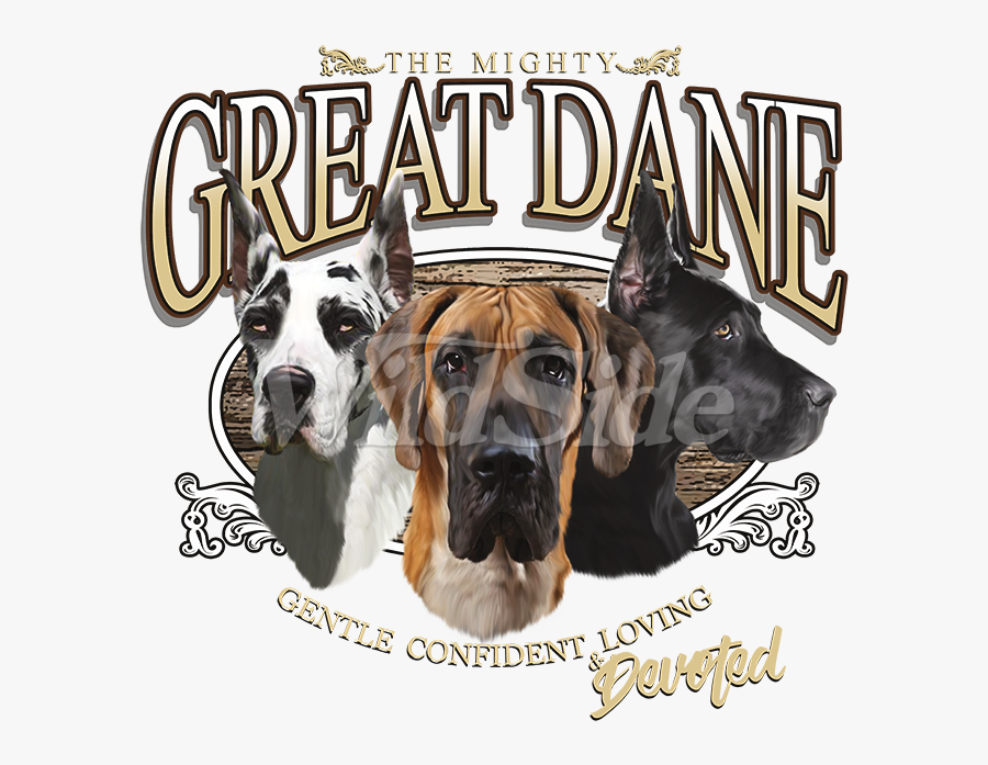 Transparent Great Dane Png - Great Dane, Transparent Clipart