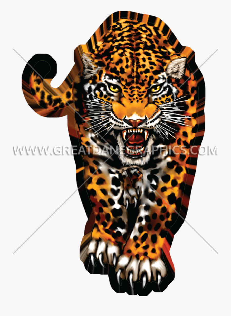 Siberian Tiger, Transparent Clipart