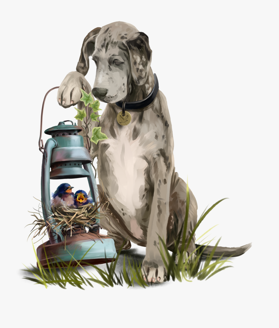 Dog, Transparent Clipart