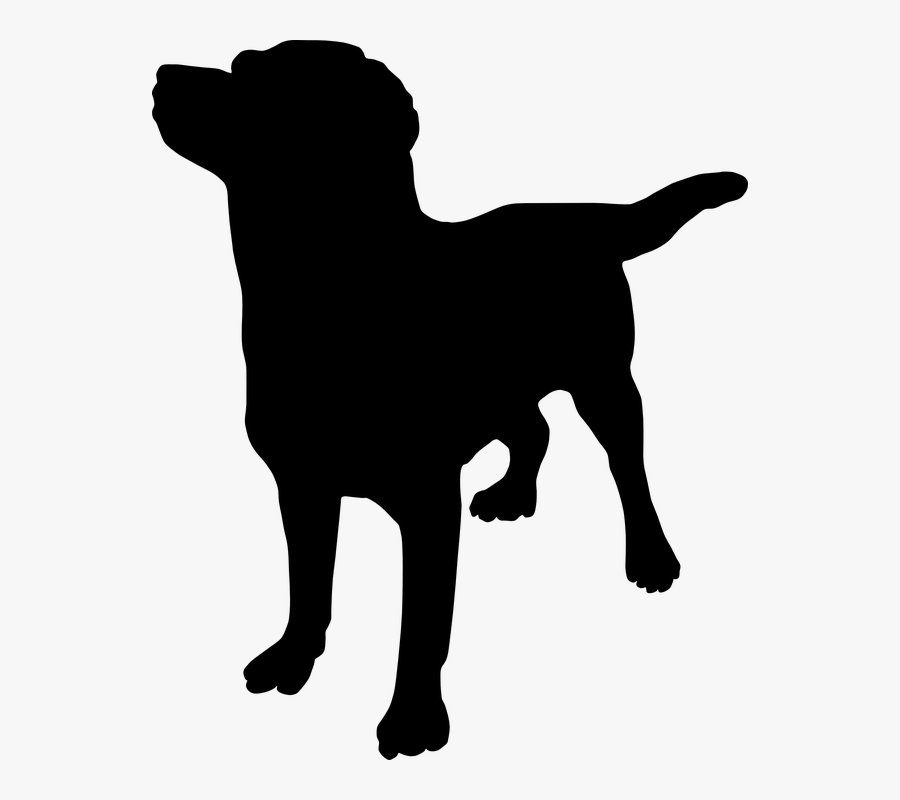 French Bulldog Great Dane Puppy Rottweiler How To Massage - Places To Massage Your Dog, Transparent Clipart