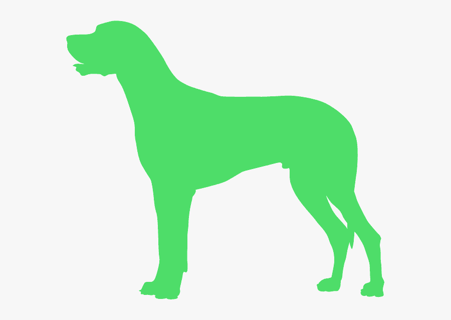 Hunting Dog, Transparent Clipart